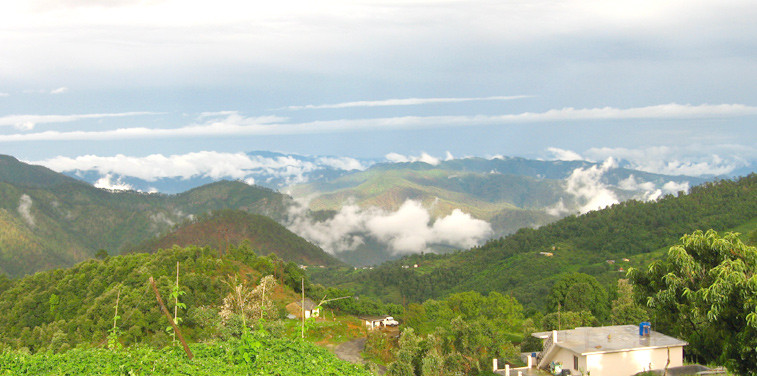 almora