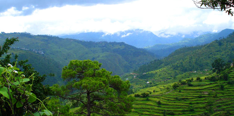 ranikhet