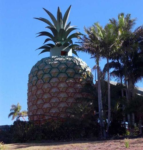 pineapple