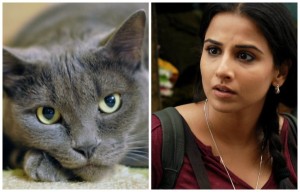 Vidya-Balan-is-Scared-of-Cats-1024x655