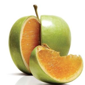 The hidden side of EVERYTHING!