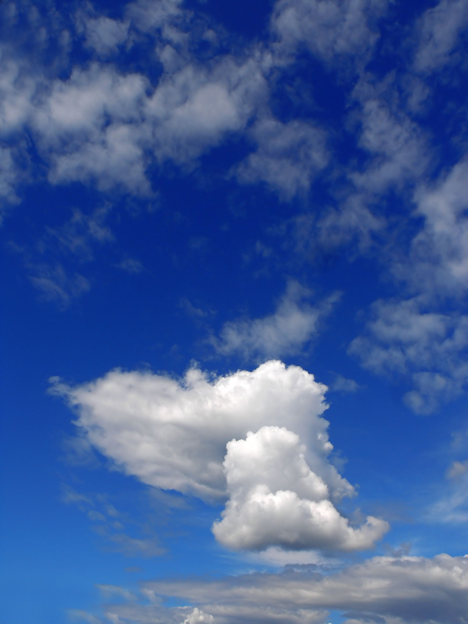 Don’t loose your Data, Back it up on the Cloud LifeCrust