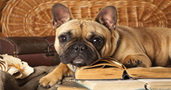 DOGS-BOOKS