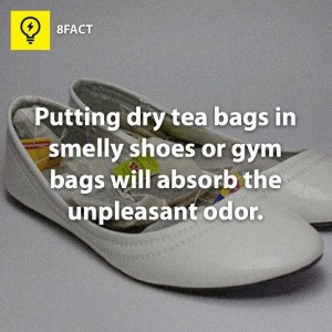 smelly shoes