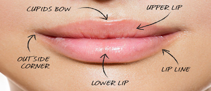 What Does That Shape Of Your Lips Say About You! 