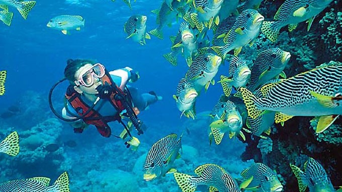 scuba diving