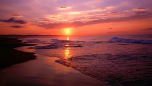1131367-beach-sunrise