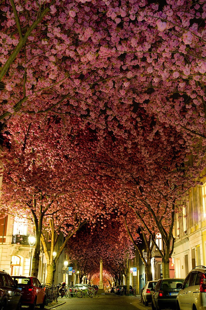 AD-Worlds-Magical-Streets-2