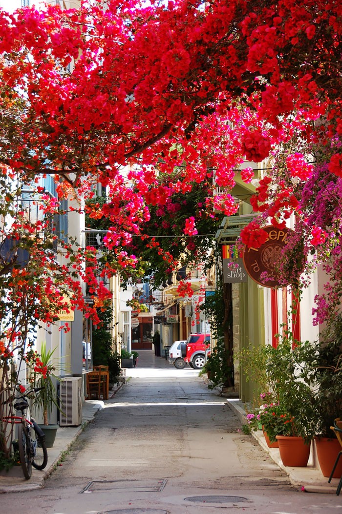 AD-Worlds-Magical-Streets-7