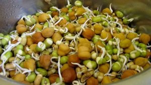 sprouts-salad-recipe-sprouts