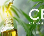 Immunity Booster: How CBD Use Help Fight Off Diseases!