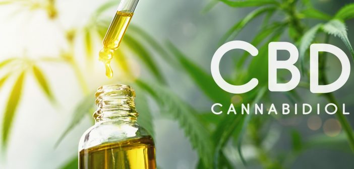 Immunity Booster: How CBD Use Help Fight Off Diseases!